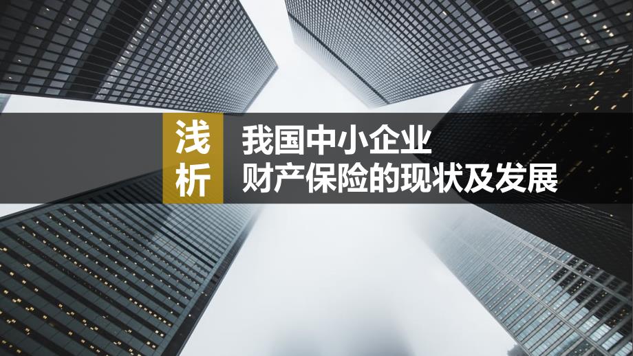 浅析我国中小企业财产保险的现状与发展.pptx_第1页