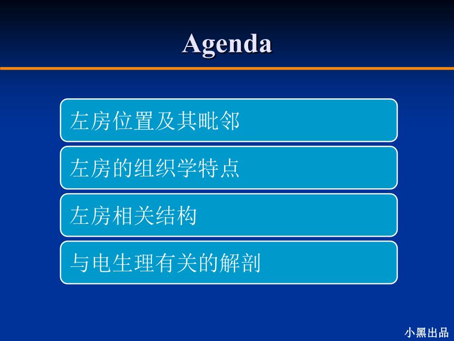 左房解剖学基础.ppt_第2页