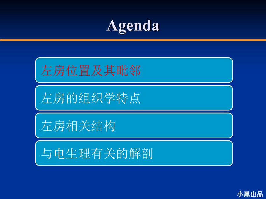 左房解剖学基础.ppt_第3页
