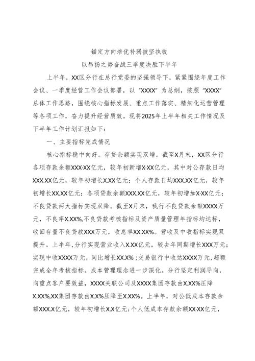 分行2025年上半年工作总结及下半年工作计划.docx