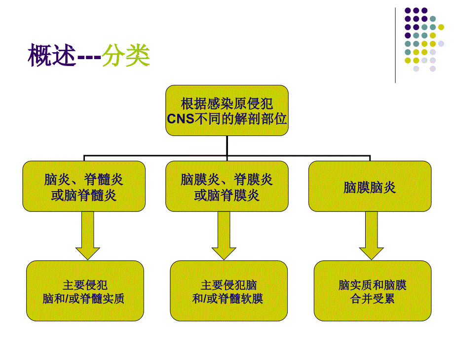 病毒性脑炎PPT课件.ppt_第3页