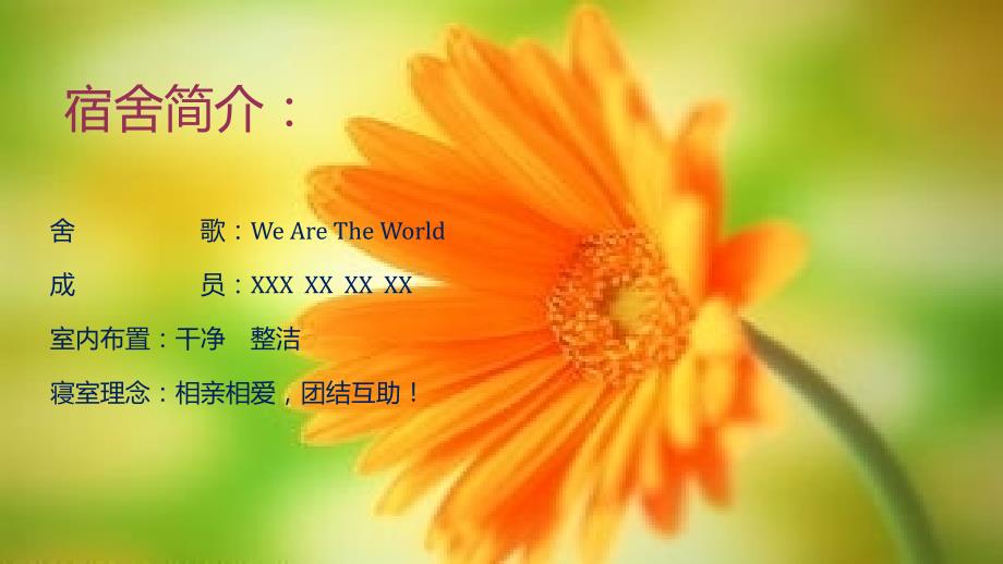 文明寝室PPT课件.ppt_第3页