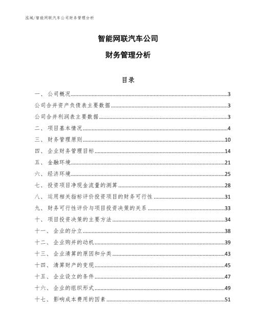 智能网联汽车公司财务管理分析范文.docx