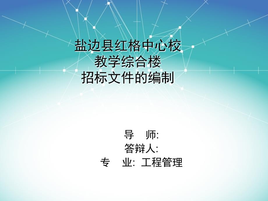 招标文件毕业答辩PPT.ppt_第1页