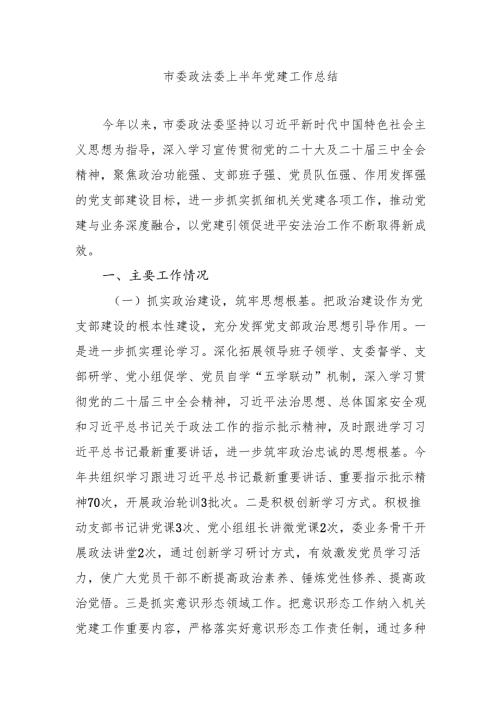 市委政法委2025上半年党建工作总结.docx