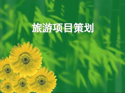 旅游项目策划项目投资估算.ppt