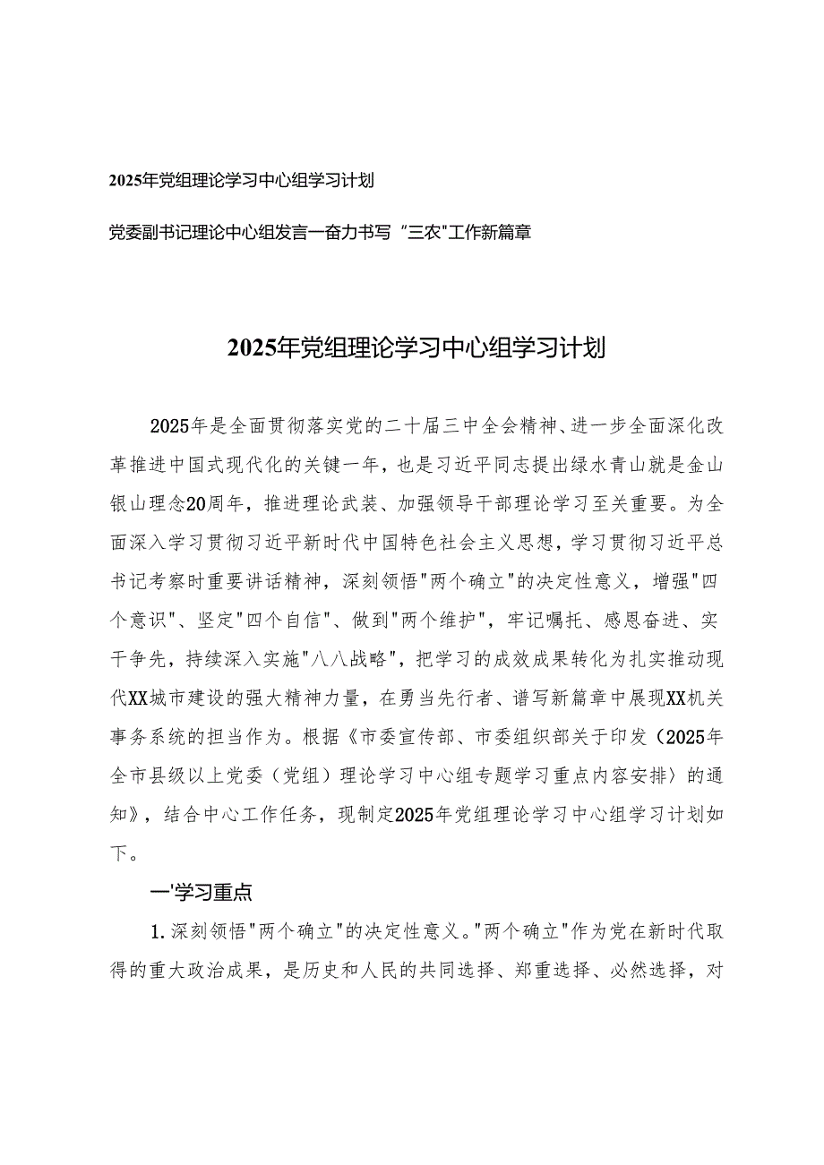 2025年党组理论学习中心组学习计划+党委副书记理论中心组发言(奋力书写“三农”工作新篇章).docx_第1页