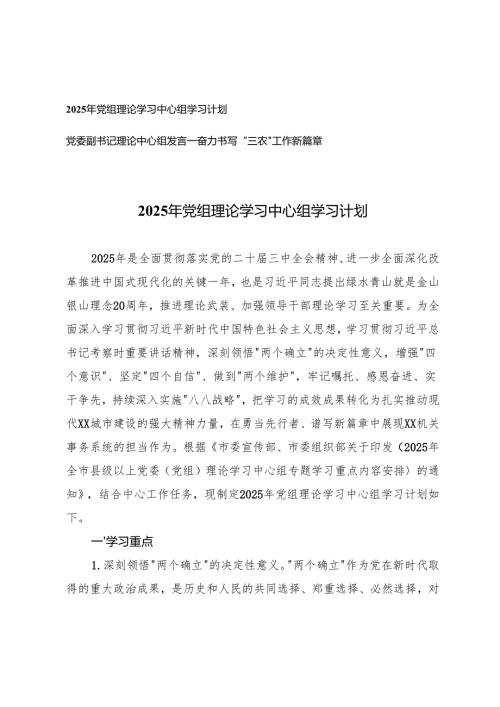 2025年党组理论学习中心组学习计划+党委副书记理论中心组发言(奋力书写“三农”工作新篇章).docx