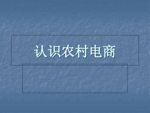 电商培训农村课件.ppt
