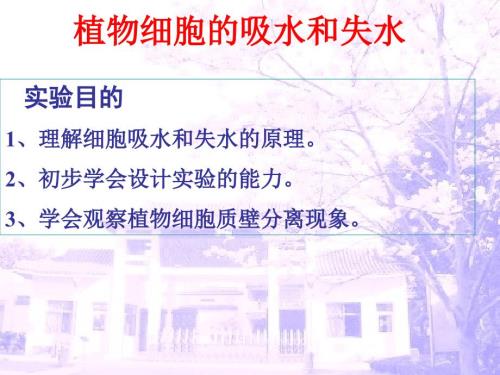 植物细胞的吸水和失水课件.ppt