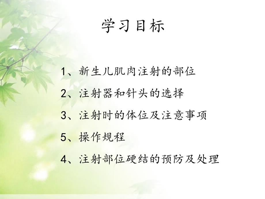 新生儿肌注PPT课件.ppt_第2页
