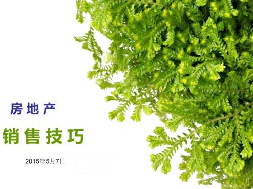 房地产销售技巧PPT课件.ppt