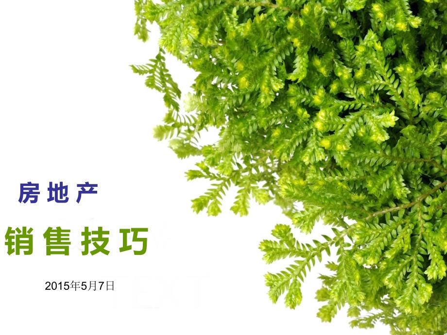 房地产销售技巧PPT课件.ppt_第1页