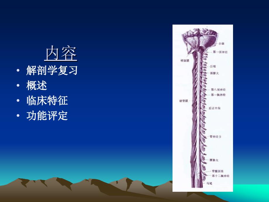 截瘫及四肢瘫评定.ppt_第2页