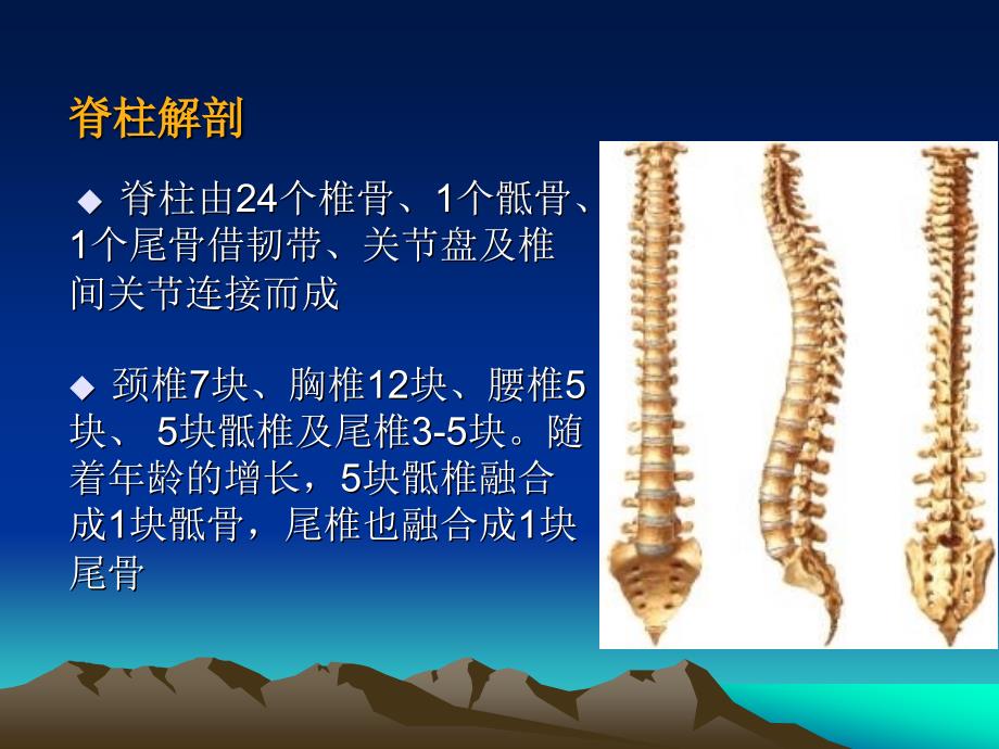 截瘫及四肢瘫评定.ppt_第3页