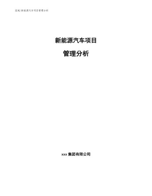 新能源汽车项目管理分析参考.docx