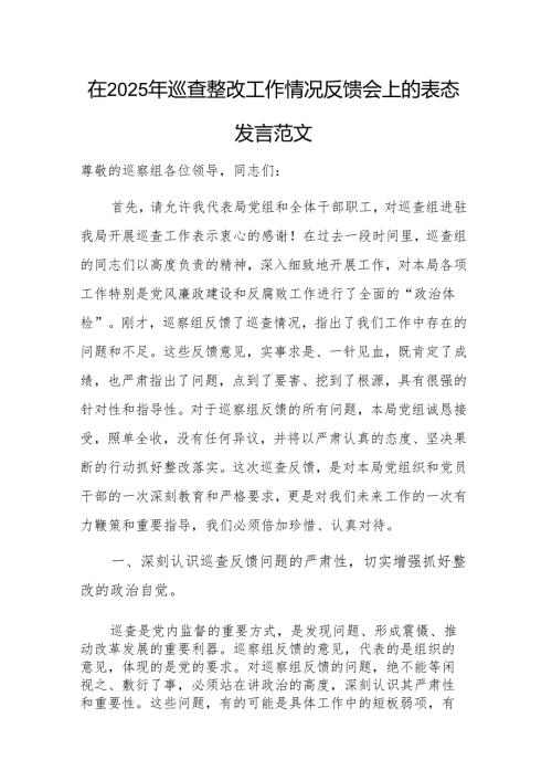 在2025年巡查整改工作情况反馈会上的表态发言范文.docx