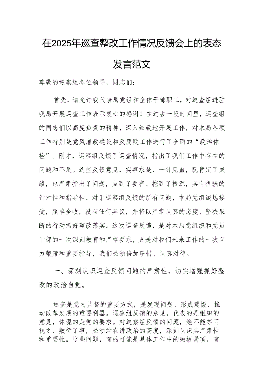 在2025年巡查整改工作情况反馈会上的表态发言范文.docx_第1页