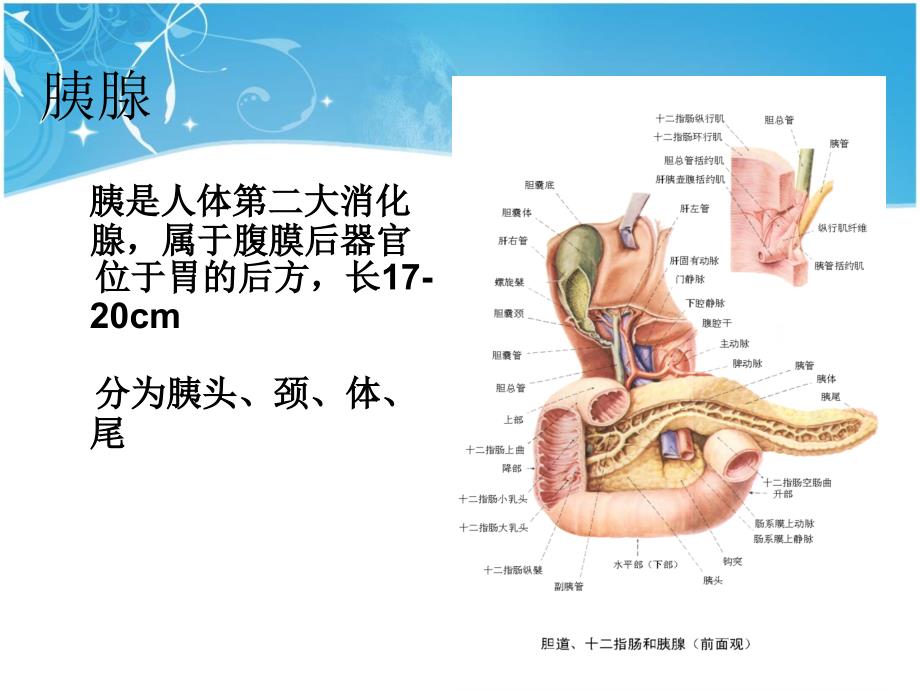 急性胰腺炎的护理ppt课件.ppt_第2页