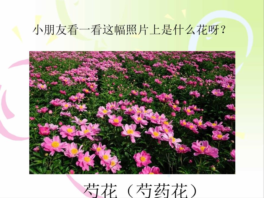 幼儿园大班数学6的分解.ppt_第3页