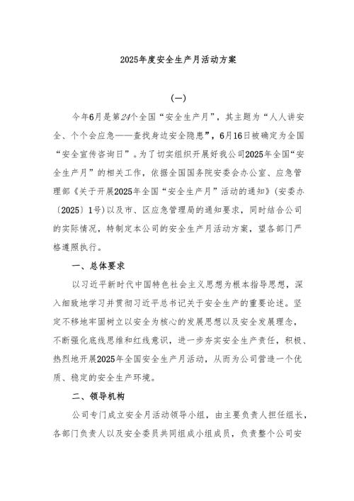 2025安全生产月活动方案.docx