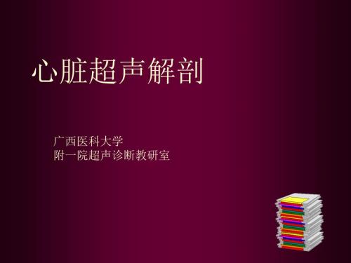 心脏超声解剖PPT课件.ppt