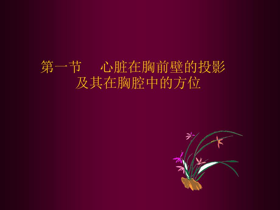 心脏超声解剖PPT课件.ppt_第2页