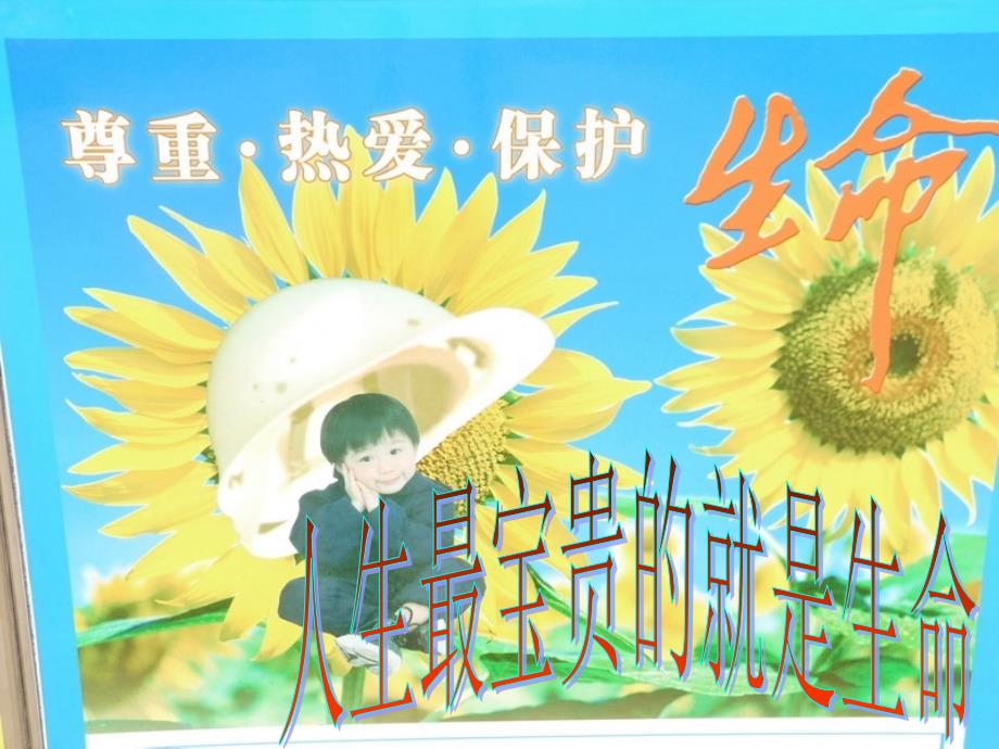 校园安全教育主题班会课件.ppt_第2页