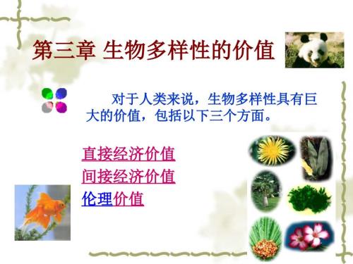 生物多样性的价值PPT课件.ppt