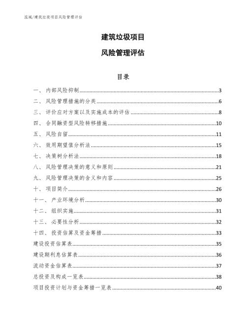 建筑垃圾项目风险管理评估范文.docx