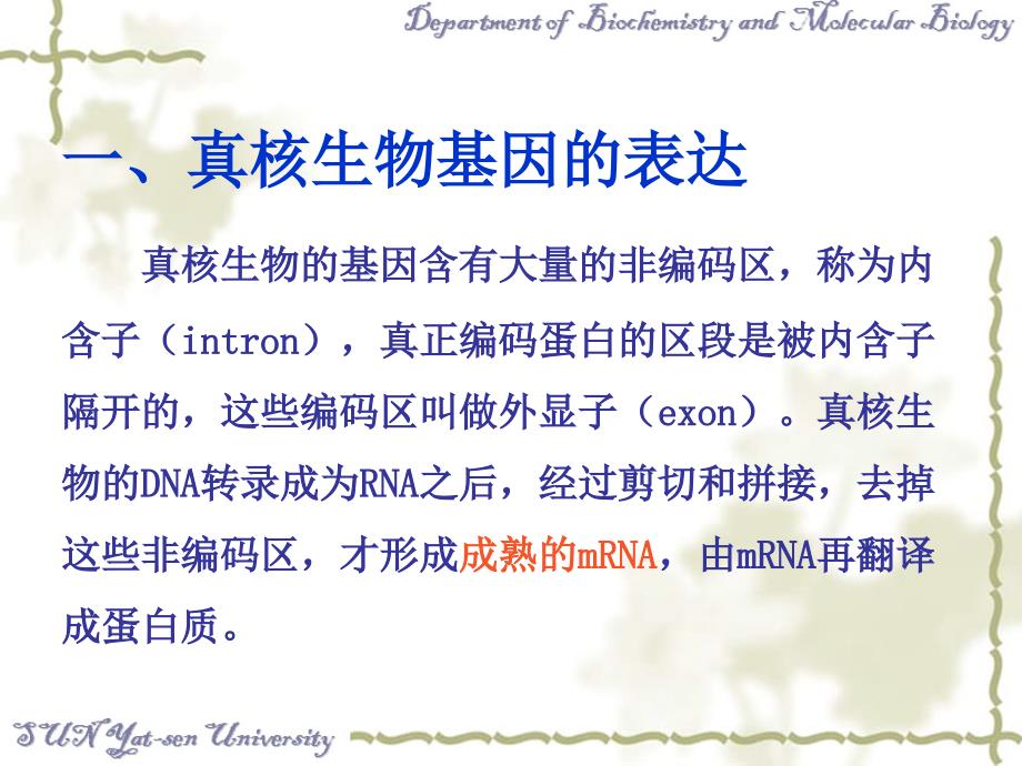 总RNA的提取及RTPCR.ppt_第2页