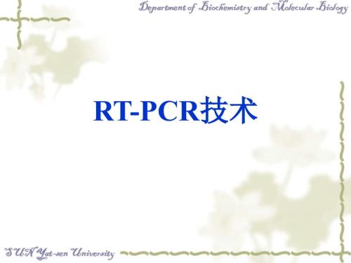 总RNA的提取及RTPCR.ppt