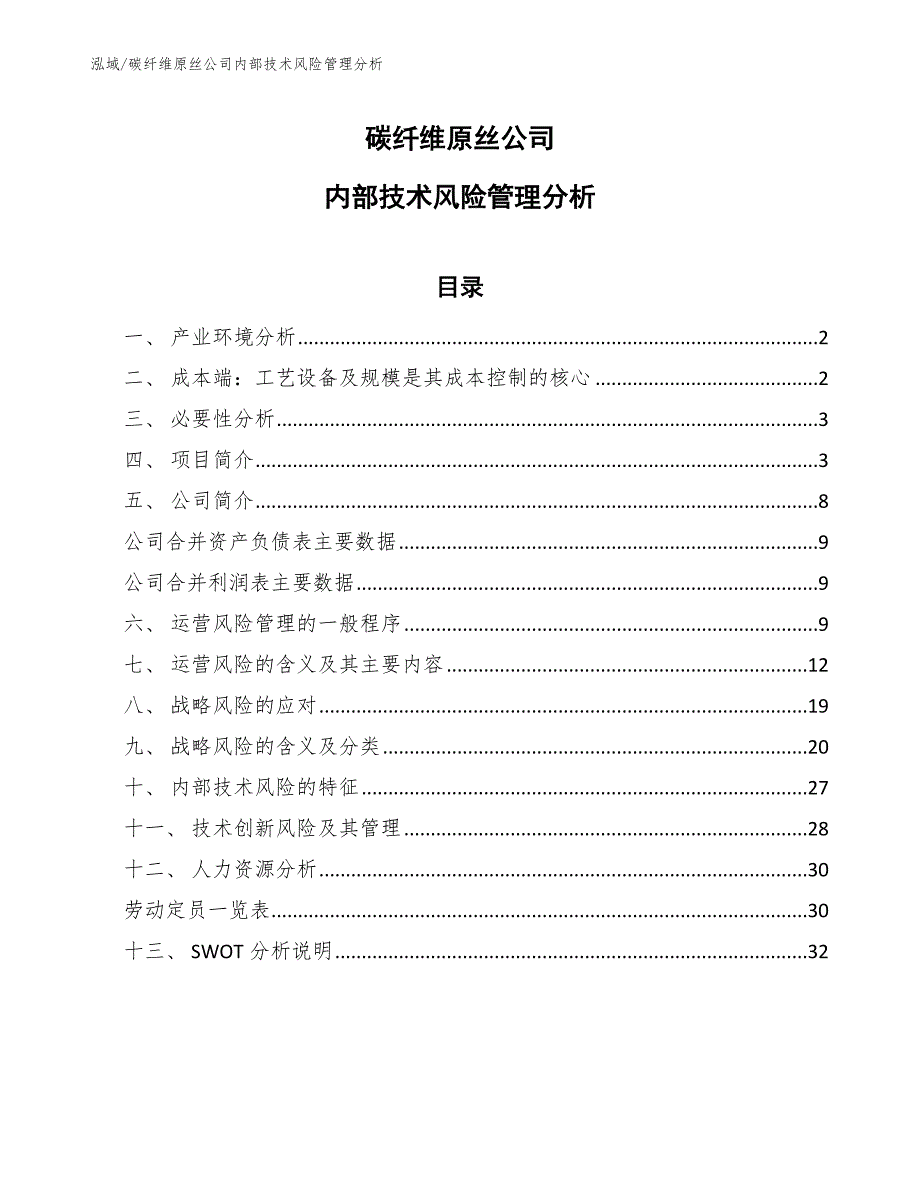 碳纤维原丝公司内部技术风险管理分析范文.docx_第1页