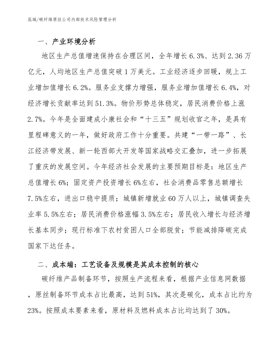 碳纤维原丝公司内部技术风险管理分析范文.docx_第2页