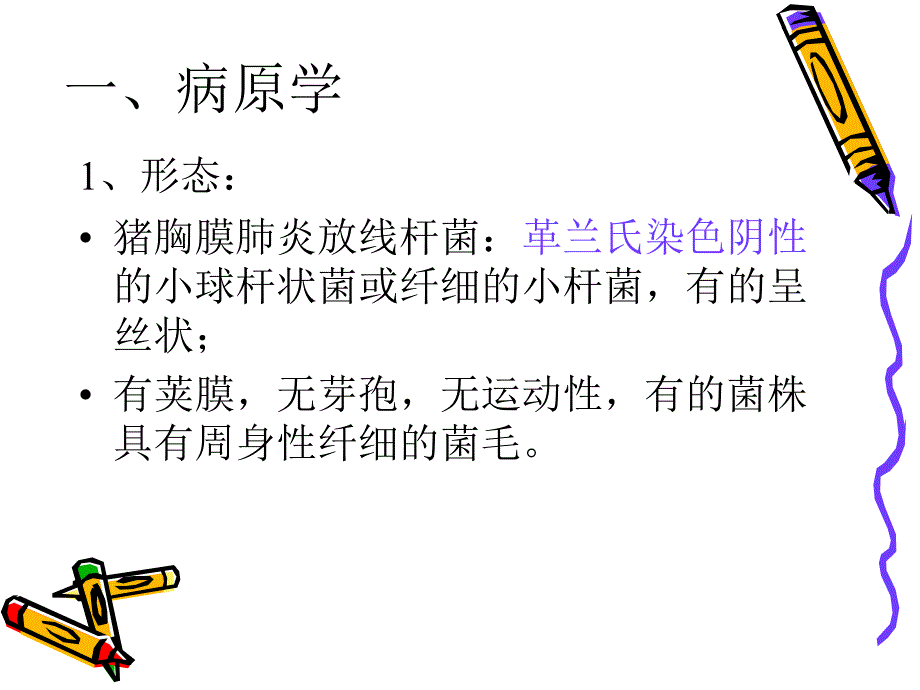 猪接触传染性胸膜肺炎.ppt_第3页