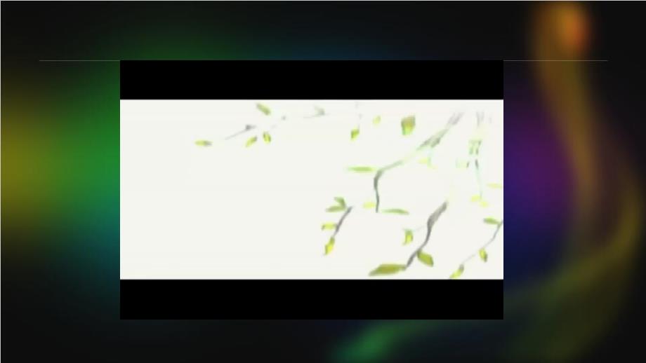 心经PPT课件.ppt_第2页