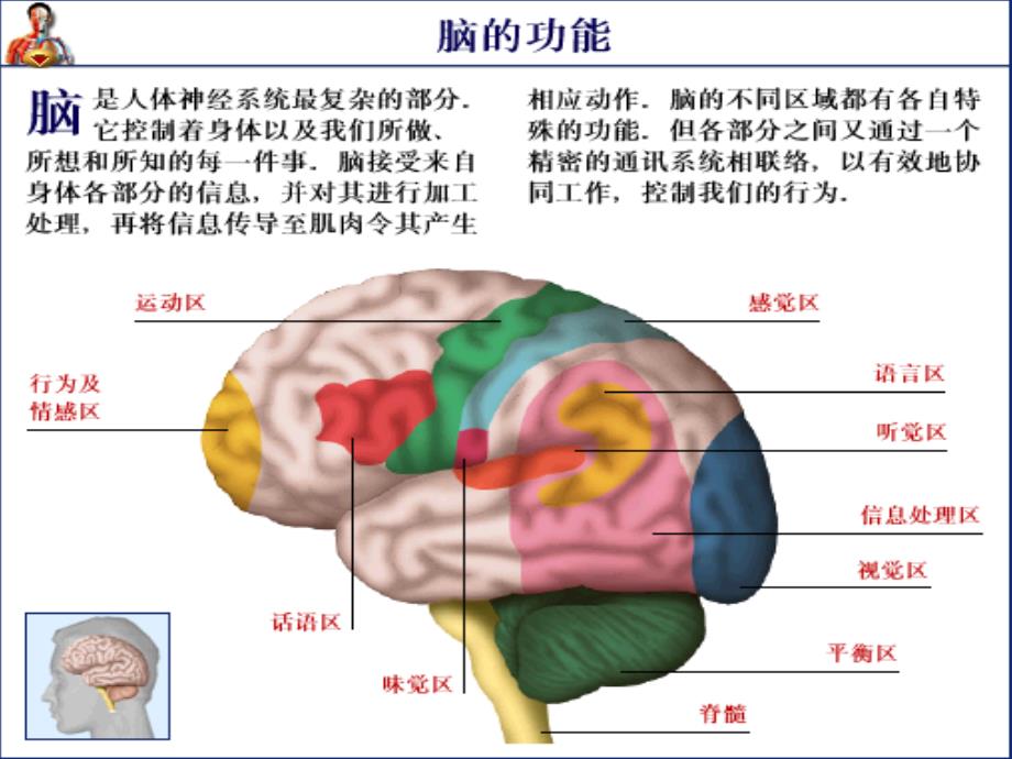 步长龙生蛭胶囊.ppt_第3页