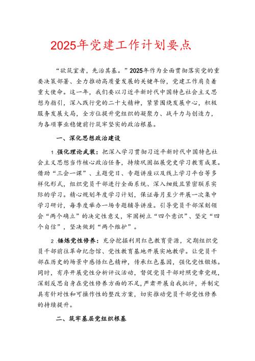 2025 年党建工作计划要点(2).docx