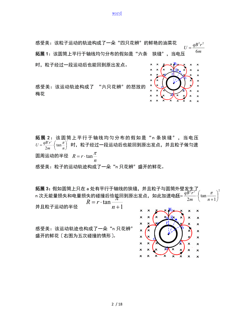 带电粒子在磁场中运动地轨迹欣赏.doc_第2页