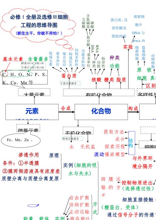 必修全册及选修细胞工程的思维导图抓住主干你就不用怕.doc