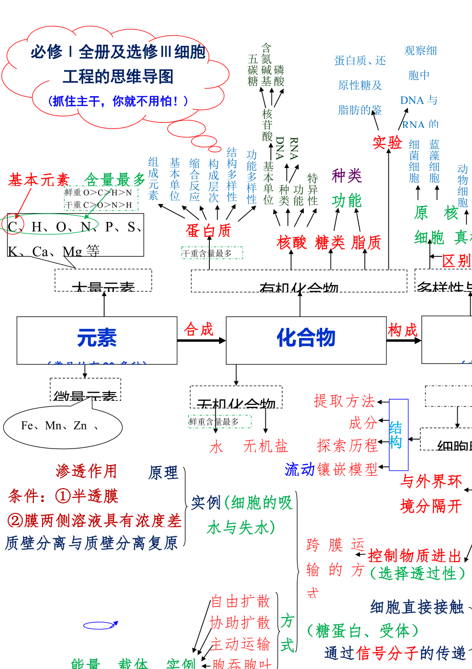 必修全册及选修细胞工程的思维导图抓住主干你就不用怕.doc_第1页