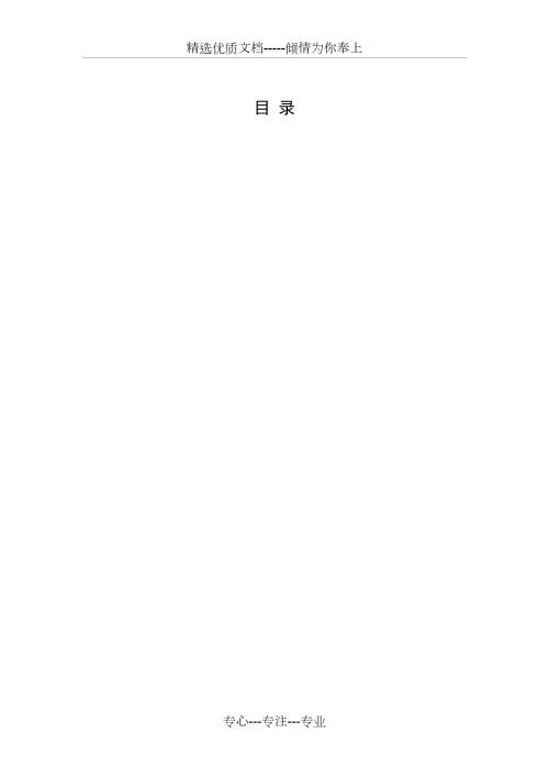 某城投公司战略规划共20页.doc