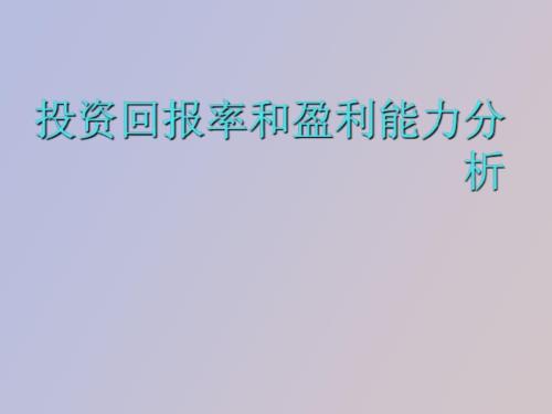 投资回报率和盈利能力分析.ppt