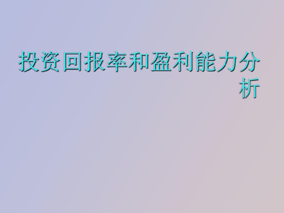 投资回报率和盈利能力分析.ppt_第1页