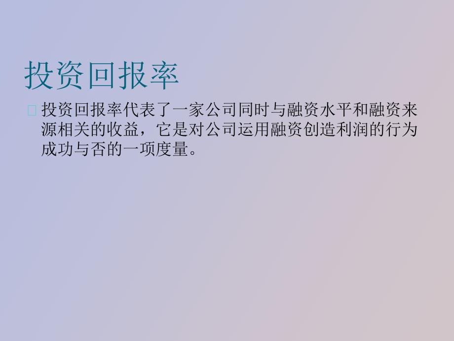 投资回报率和盈利能力分析.ppt_第2页