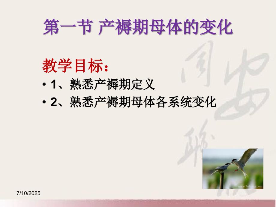 正常产褥期及护理PPT课件.ppt_第3页