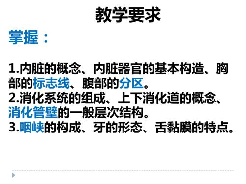 消化管ppt课件.pptx