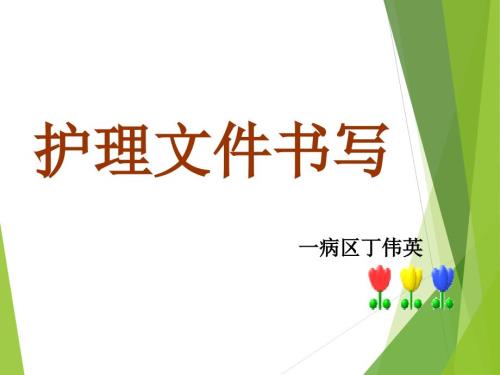 护理文件书写业务学习.ppt