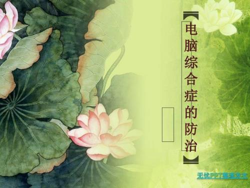 电脑综合症PT课件.ppt