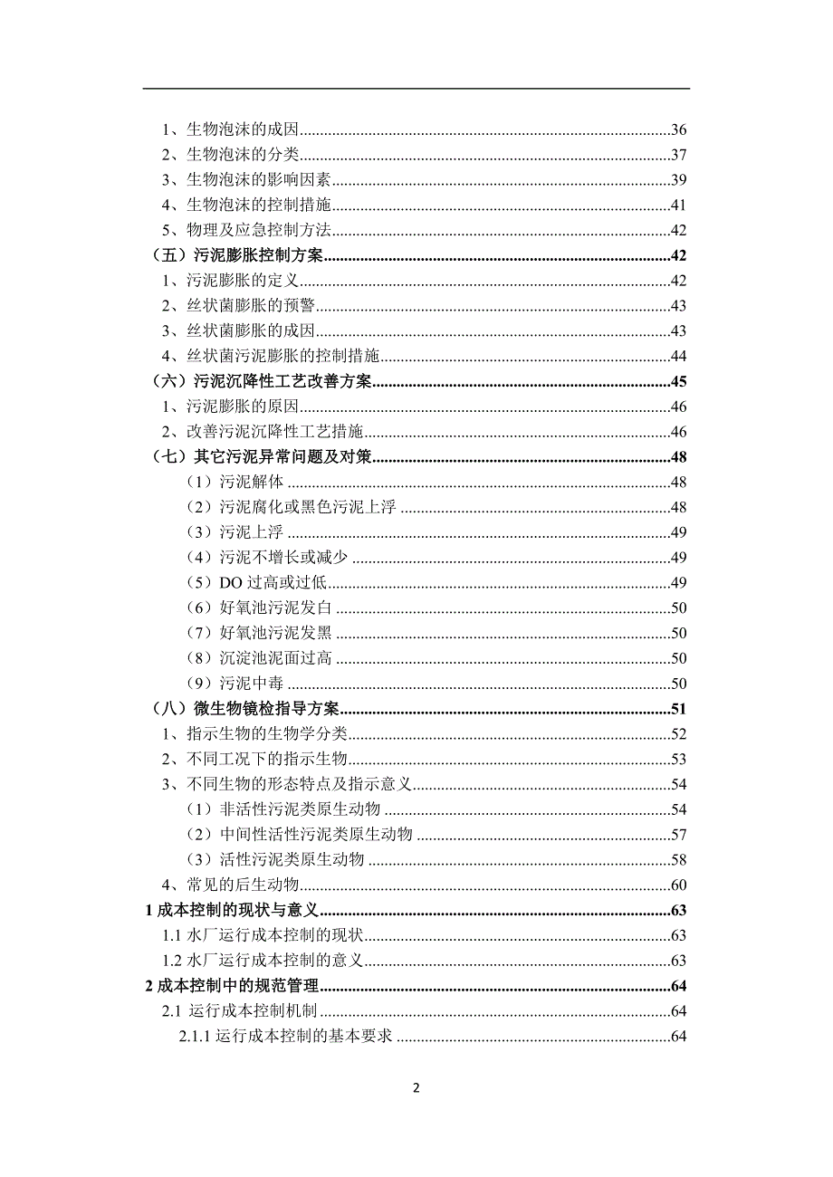 水厂运营工艺管理指导手册.doc_第2页